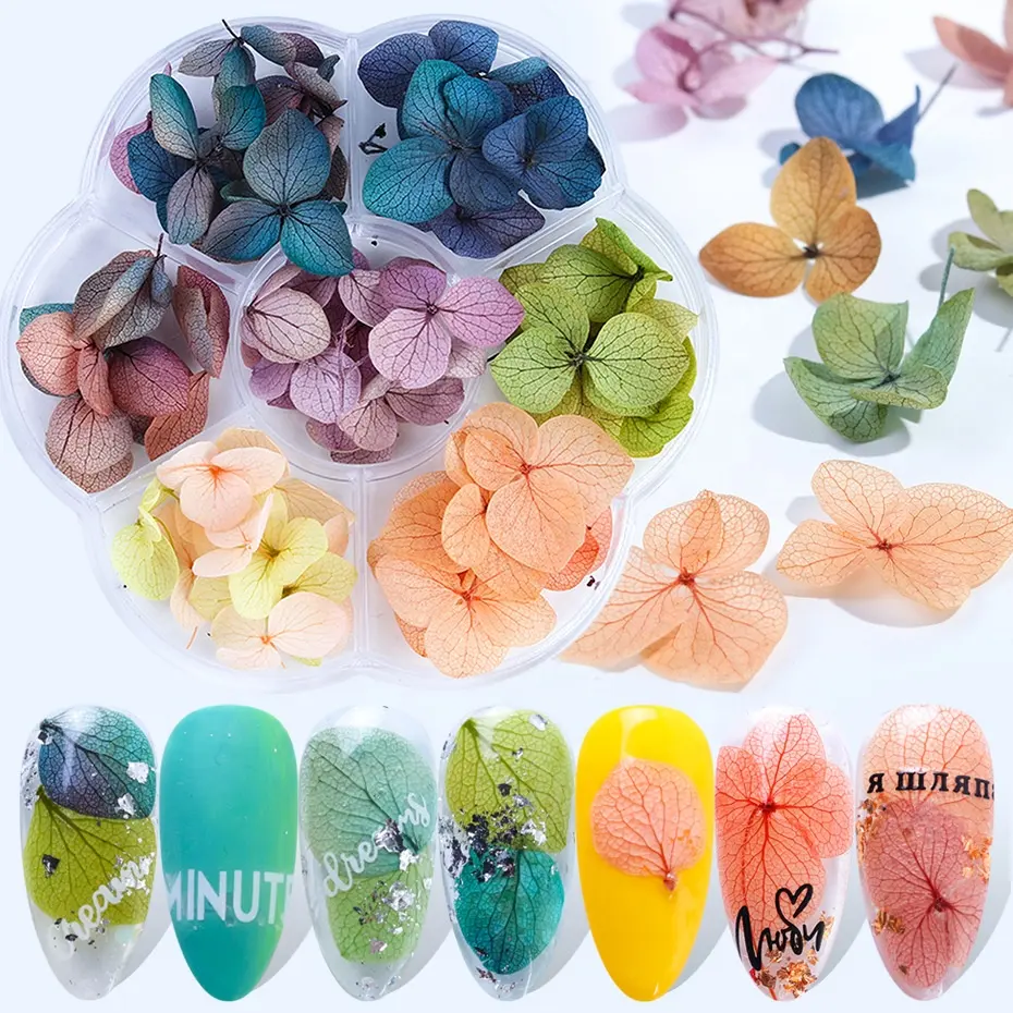 1 rueda de flores secas 3D para decoración de uñas, adhesivo gradiente de flores naturales para esmalte de Gel UV, accesorios de manicura