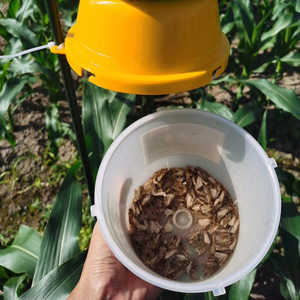 Fall Armyworm hama Feromonio spodartera frugicipta umpan dan perangkap Premium pheromon kualitas tahan lama tidak beracun ramah lingkungan - Product Image 3