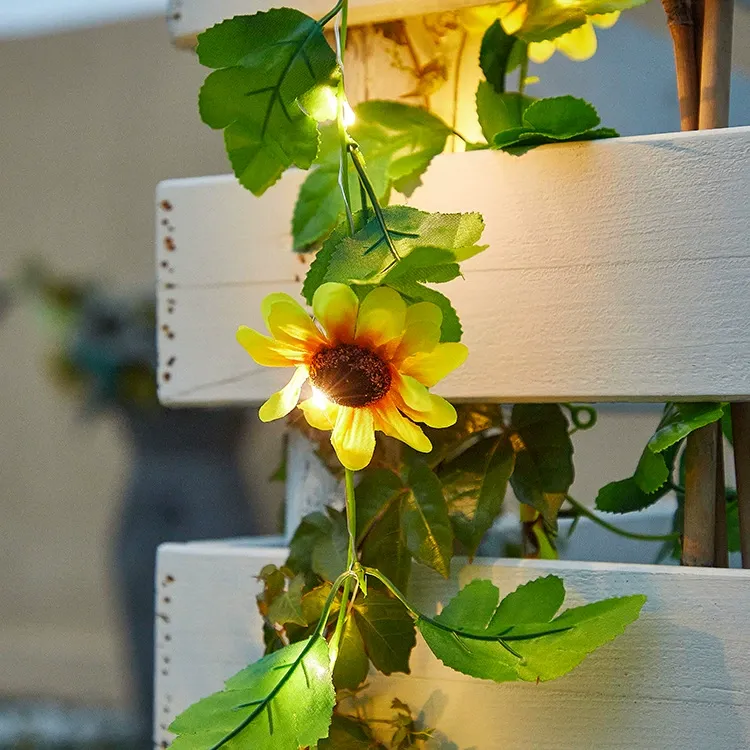 Girasol trepador verde/amarillo