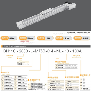 BH110 750W אוטומציה CNC מסילה ליניארית מדריך ליניארי שלב רצועה מונע שולחן ליניארי ממונע עבור חלקי מדפסת תלת מימד