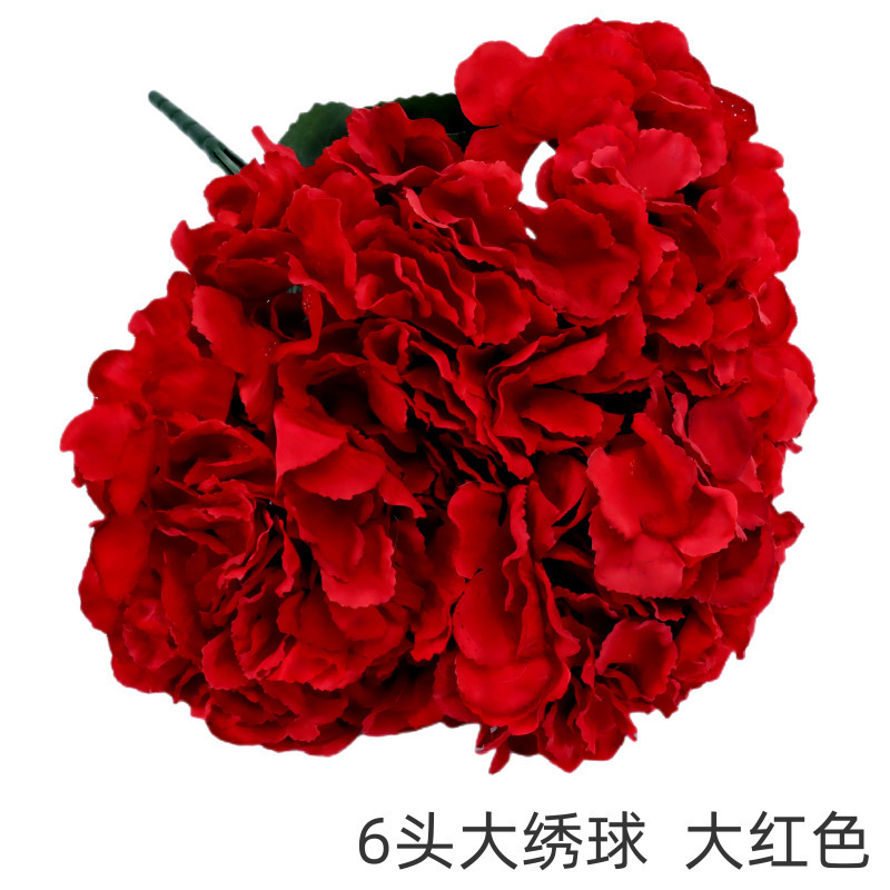 6 gros hortensias rouge vif