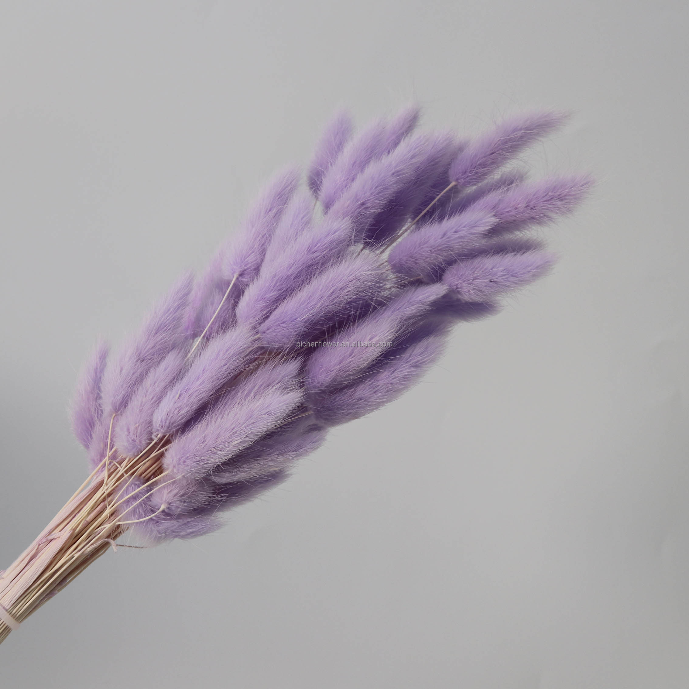 Morado claro
