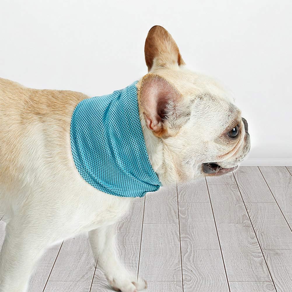 Bleu