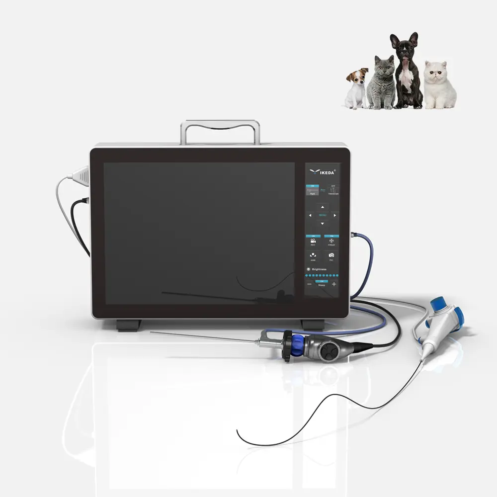 Telecamera per isteroscopio flessibile monouso veterinario e telecamera per laparoscopia