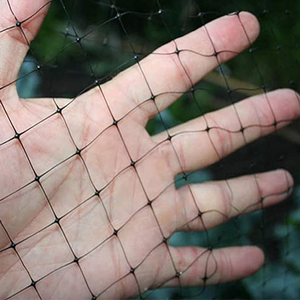 HDPE or <strong>PP</strong> Garden Mesh <strong>Net</strong> Trellis Rope Netting Fencing Low Price Hexagonal Poultry Farm Mesh <strong>Net</strong> - Product Image 5