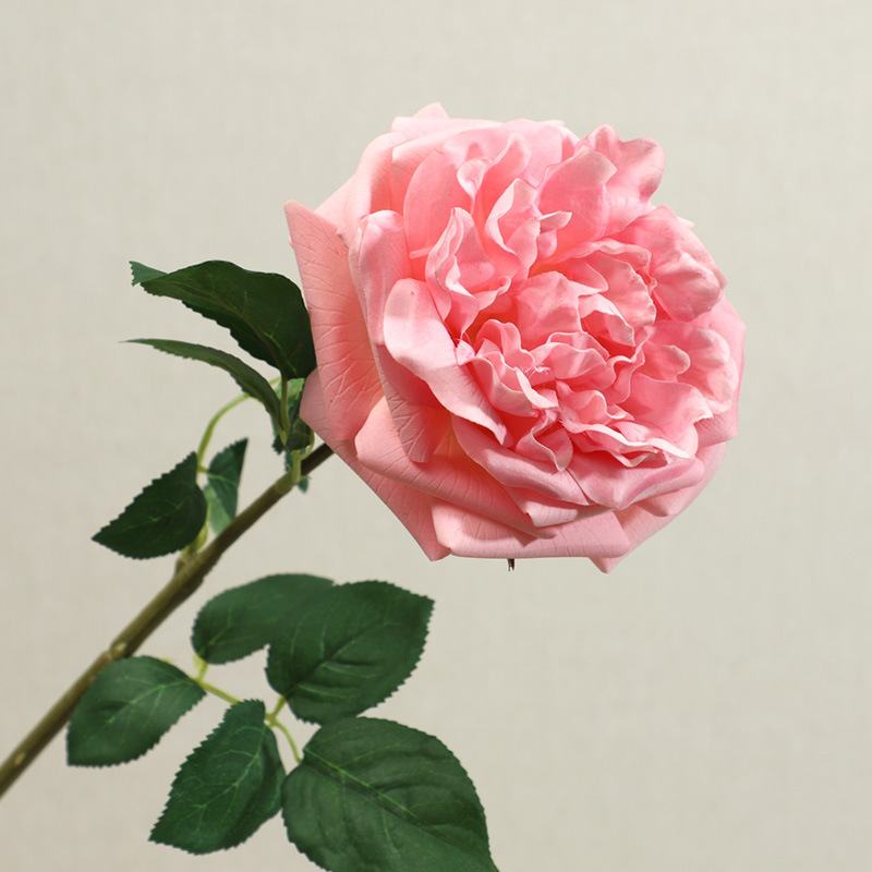 Pink5