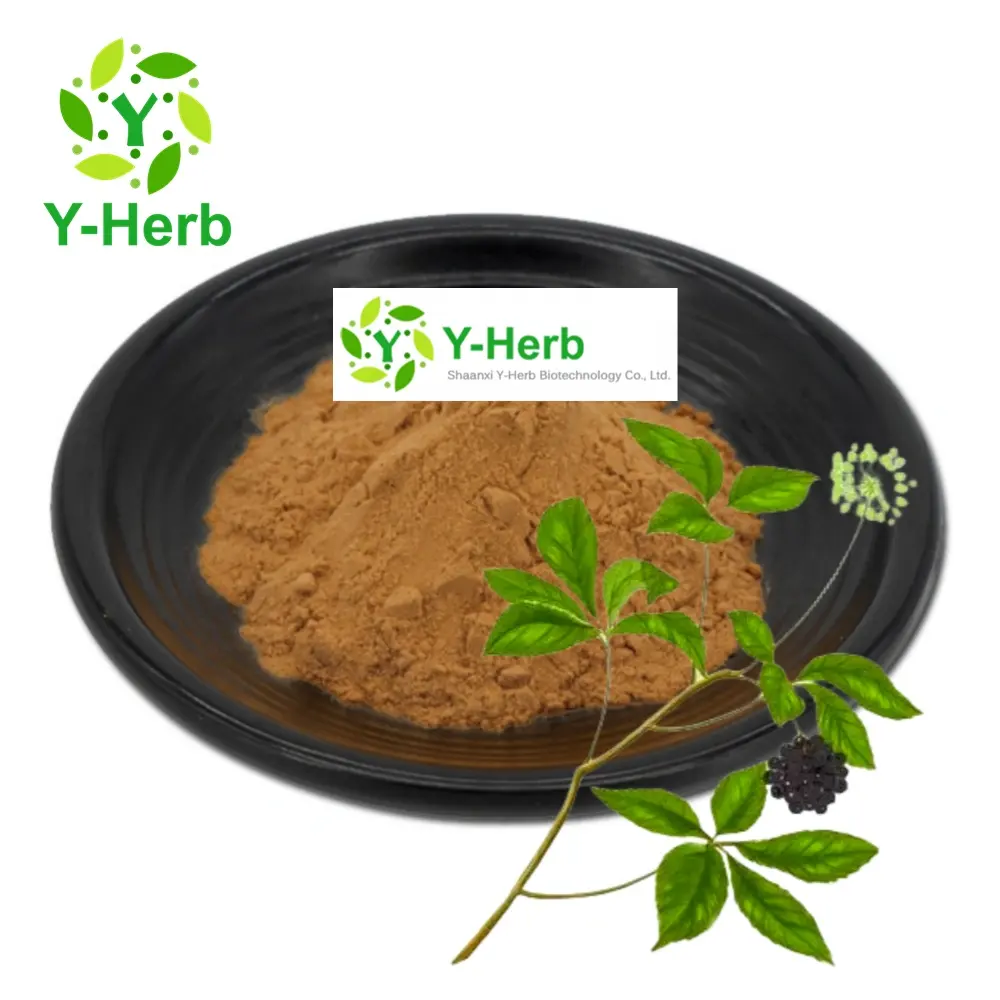 Puro naturale sfuso Ci Wu Jia estratto in polvere Eleutherosides B + E 0.8% cinese tradizionale erba/radice estratto di Ginseng siberiano