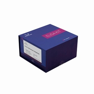 EasyStep İnsan VASP (vasodilatör uyarılmış fosfoprotein) ELISA seti, hızlı test, sadece 1.5h - Product Image 2