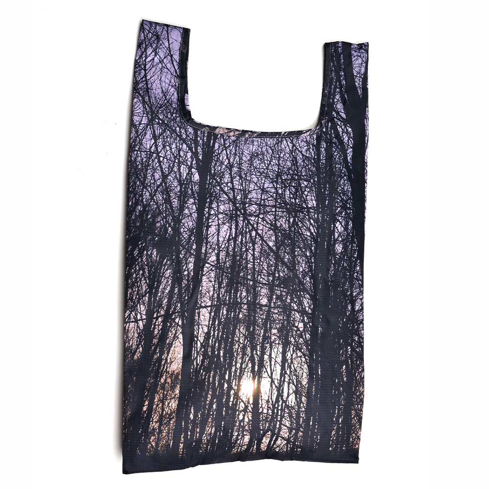 bosque-02