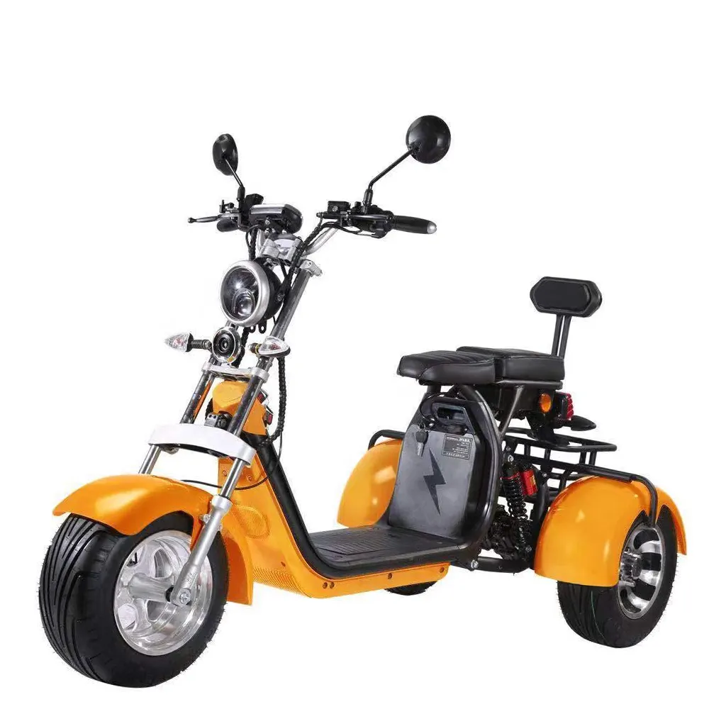 Vendita calda per la vendita all'ingrosso di tricicli elettrici a 3 ruote approvati cee per adulti Citycoco Scooter moto