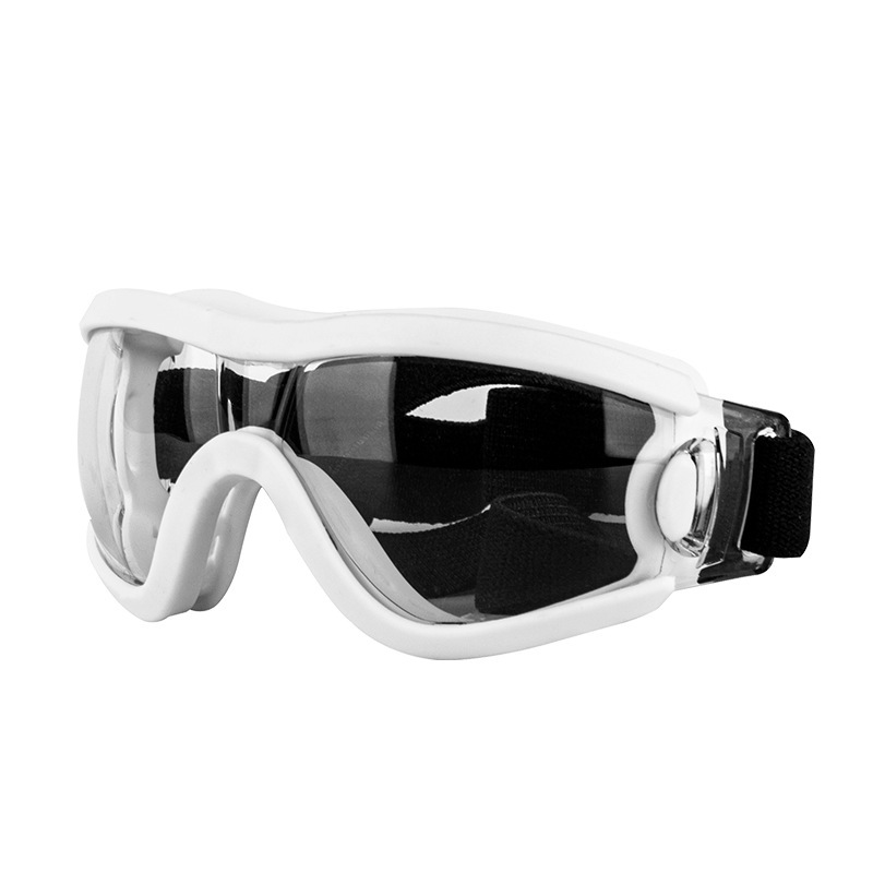 Lunettes pour animaux - monture blanche transparente