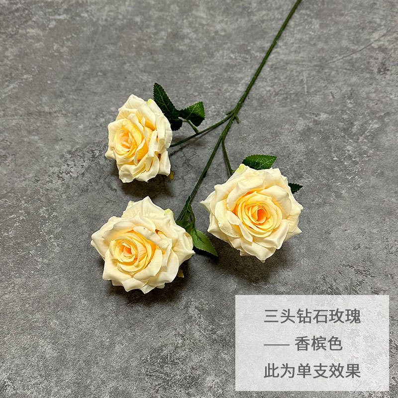 Three head diamond rose-champagne
