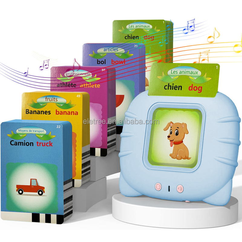 French Flash Card Toy