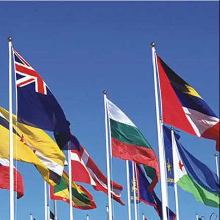 Banderas del mundo al por mayor 3X5 Ft de 100% poliéster