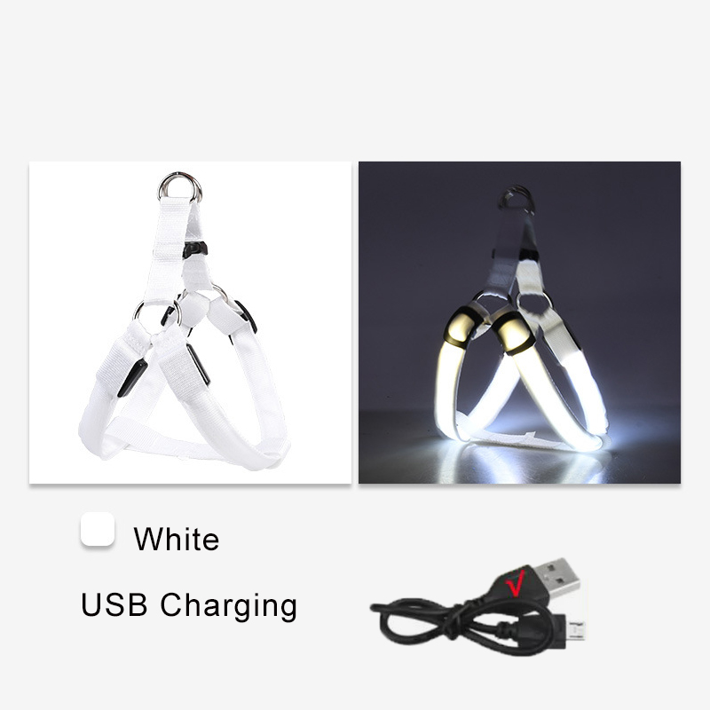 Chargement USB blanc