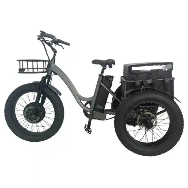 20 Zoll elektrisches Trike 48V 500W erwachsenes elektrisches Dreirad 3 Räder fetter Reifen elektrische Dreiräder