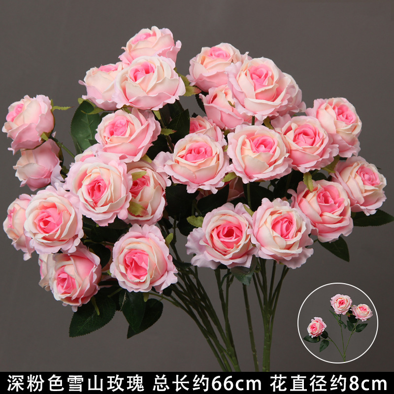 Deep pink snow mountain rose branch