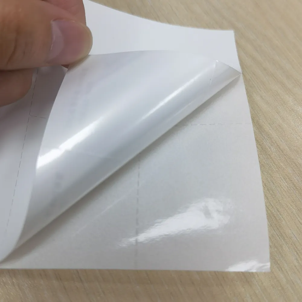 สติกเกอร์สังเคราะห์ทำจากกระดาษ PP แบบม้วนกระดาษกาวแบบพิมพ์เปล่ากันน้ำสามารถกำหนดเองได้