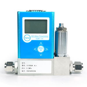 Shanghai debimetre üretim kaynağı klor gazı kütle akış ölçer denetleyici - Product Image 1