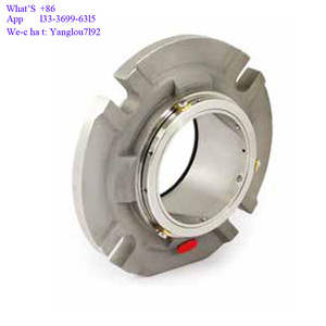 Aesseal disp & siss <span class=keywords><strong>AES</strong></span> Cartridge con dấu cơ khí cho sulzer bơm - Product Image 6