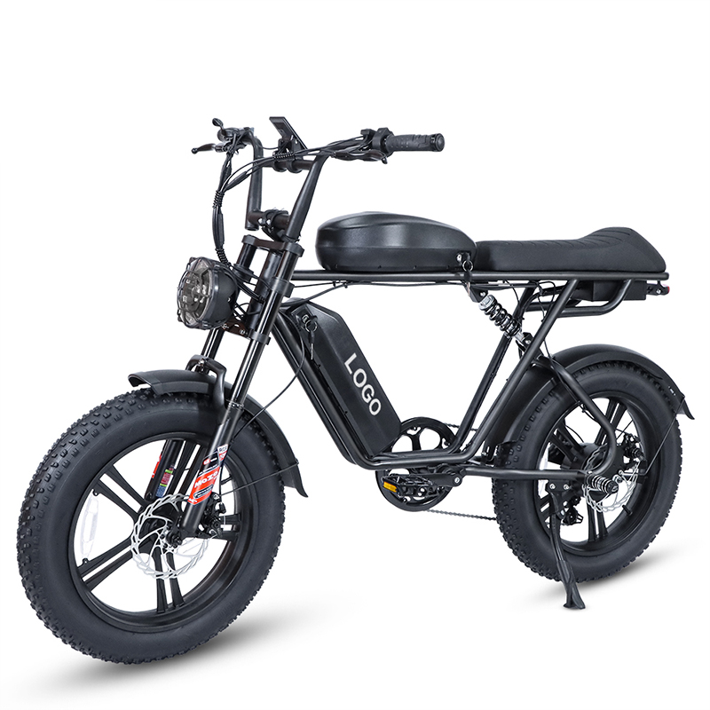 Black Dual Battery