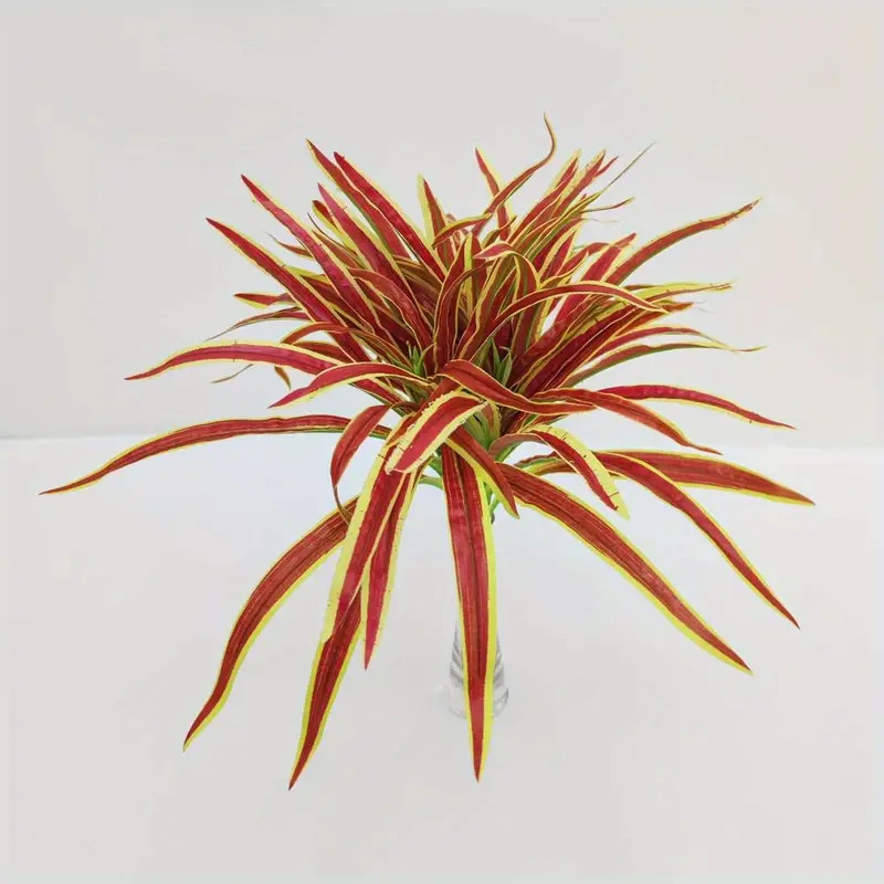 Plante araignée à bords rouges