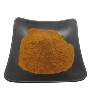 Areca Peel Extract10:1 Pericarpium Arecae ekstresinin gıda sınıfı hammaddesi sprey tozu - Product Image 1