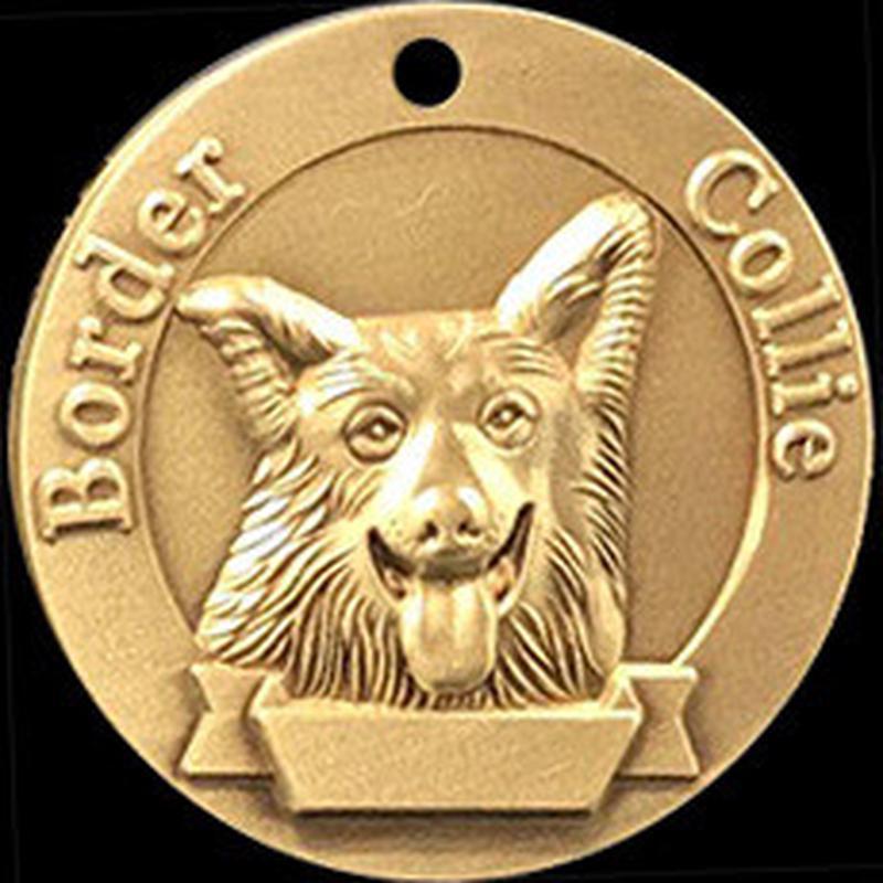 collie fronterizo