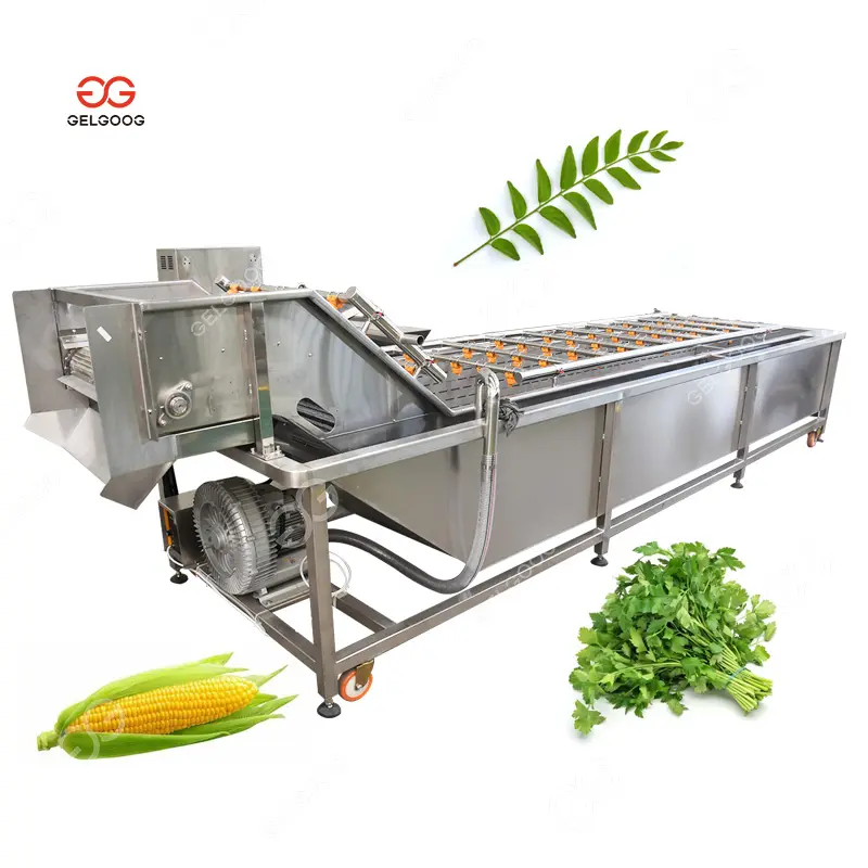 Gelgoog Curry Leaf Perejil Máquina de limpieza de verduras Línea de procesamiento de lavado de maíz