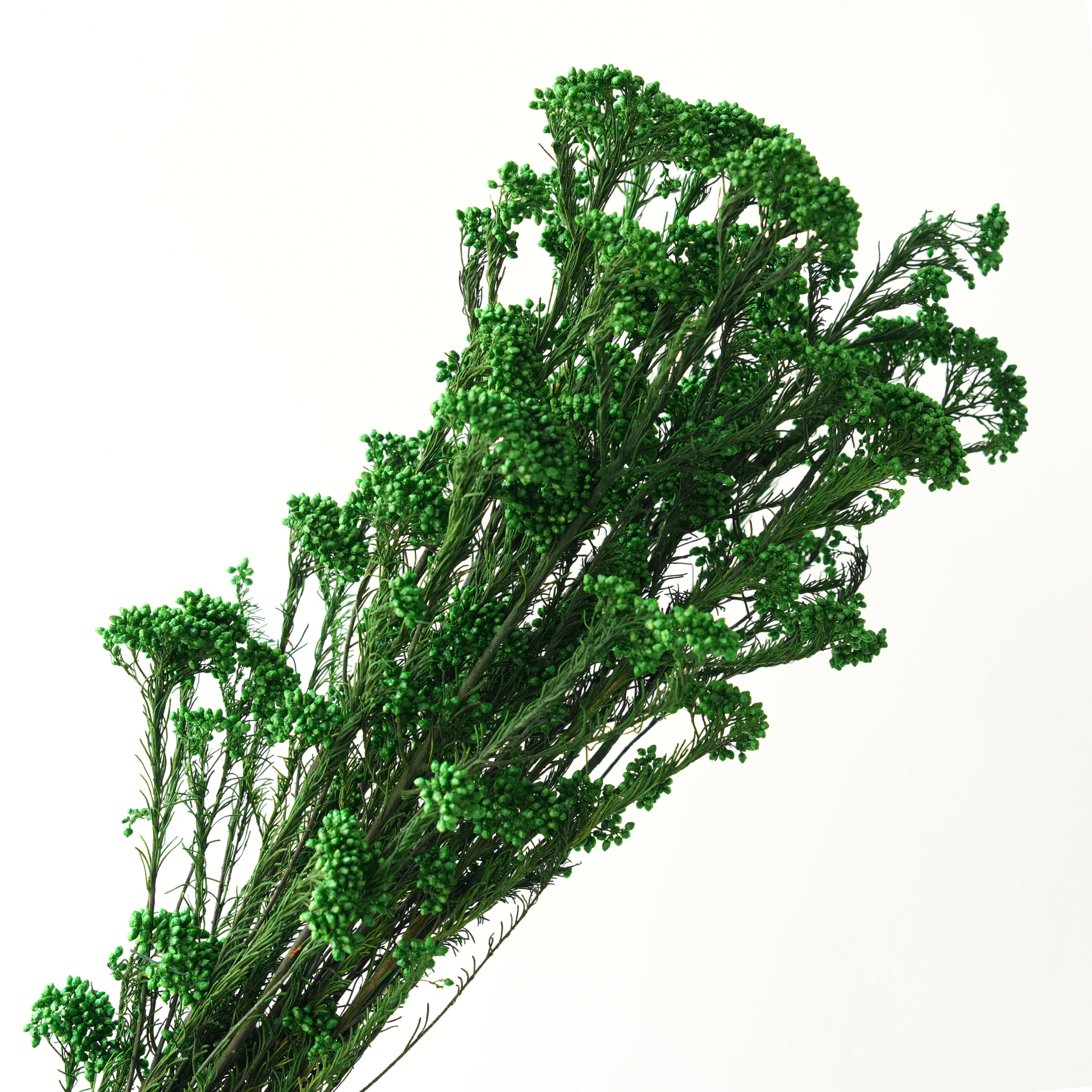 Green-85g