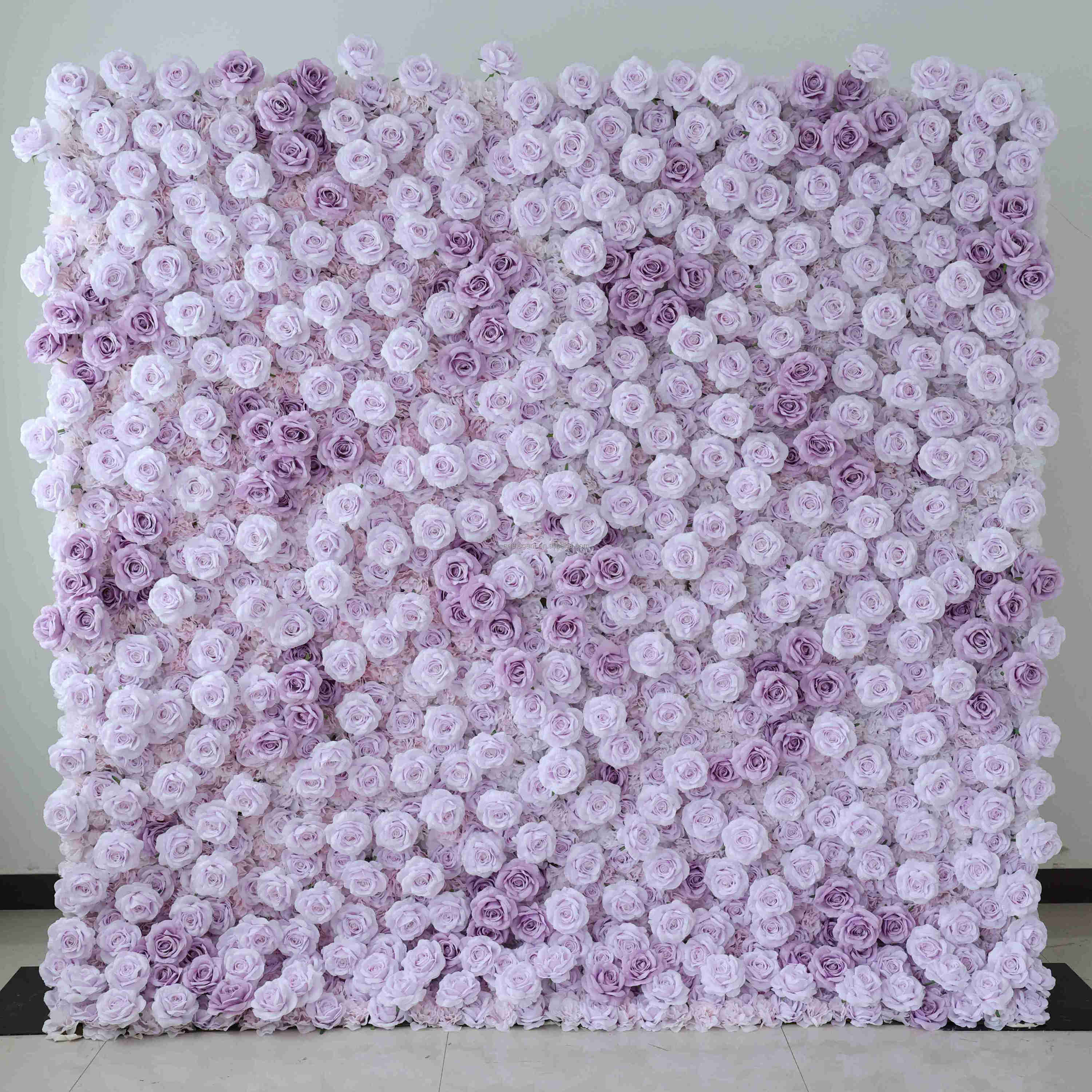 Viola 01