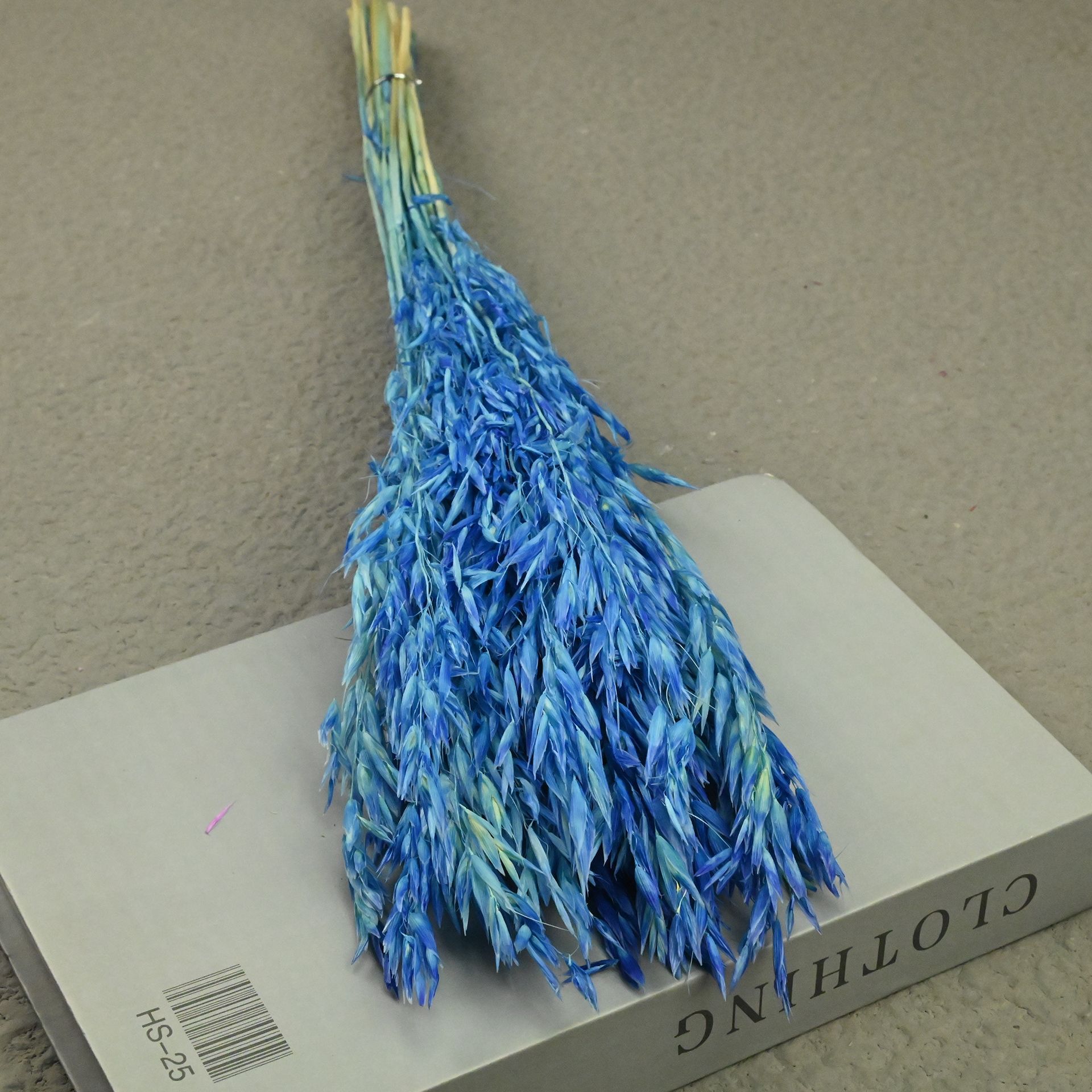 Oat gradient sapphire blue