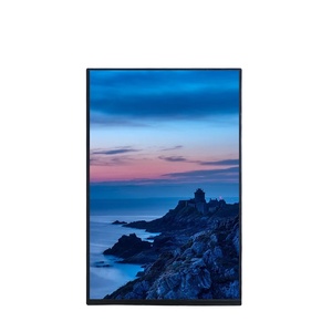 Interfaz de 10,1 pulgadas 800x1280 MIinterface 250/350 brillo TFT LCD módulo y estar equipado con pantalla táctil TFT