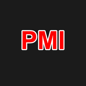 Bloque de guía lineal PMI MSA15A MSA20A MSA25A MSA30A MSA35A MSA45A MSA20LA MSA25LA MSA30LA MSA35LA MSA45LA - Product Image 1