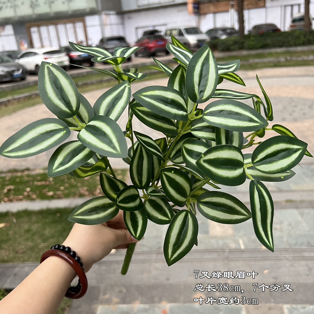 Hojas de ceja verde de siete puntas.