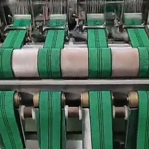 红日纺织定制工厂价格网带绿色46毫米松紧绳椅子和沙发松紧带 - Product Image 4