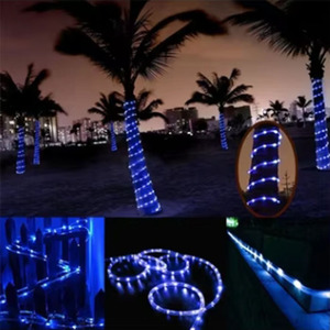 LEDストリップライトWs5050 12v/24v DcピクセルプログラムRGB/RGBW音楽同期カラー変更Ledストリップテープアドレス可能なライト - Product Image 6