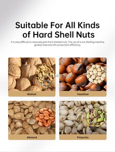 High Efficiency Almond <strong>Shell</strong> <strong>and</strong> <strong>Kernel</strong> Vibration <strong>Sorting</strong> Separating <strong>Machine</strong>/Dry Apricot <strong>Kernel</strong> Shelling Cracking Separator - Product Image 6