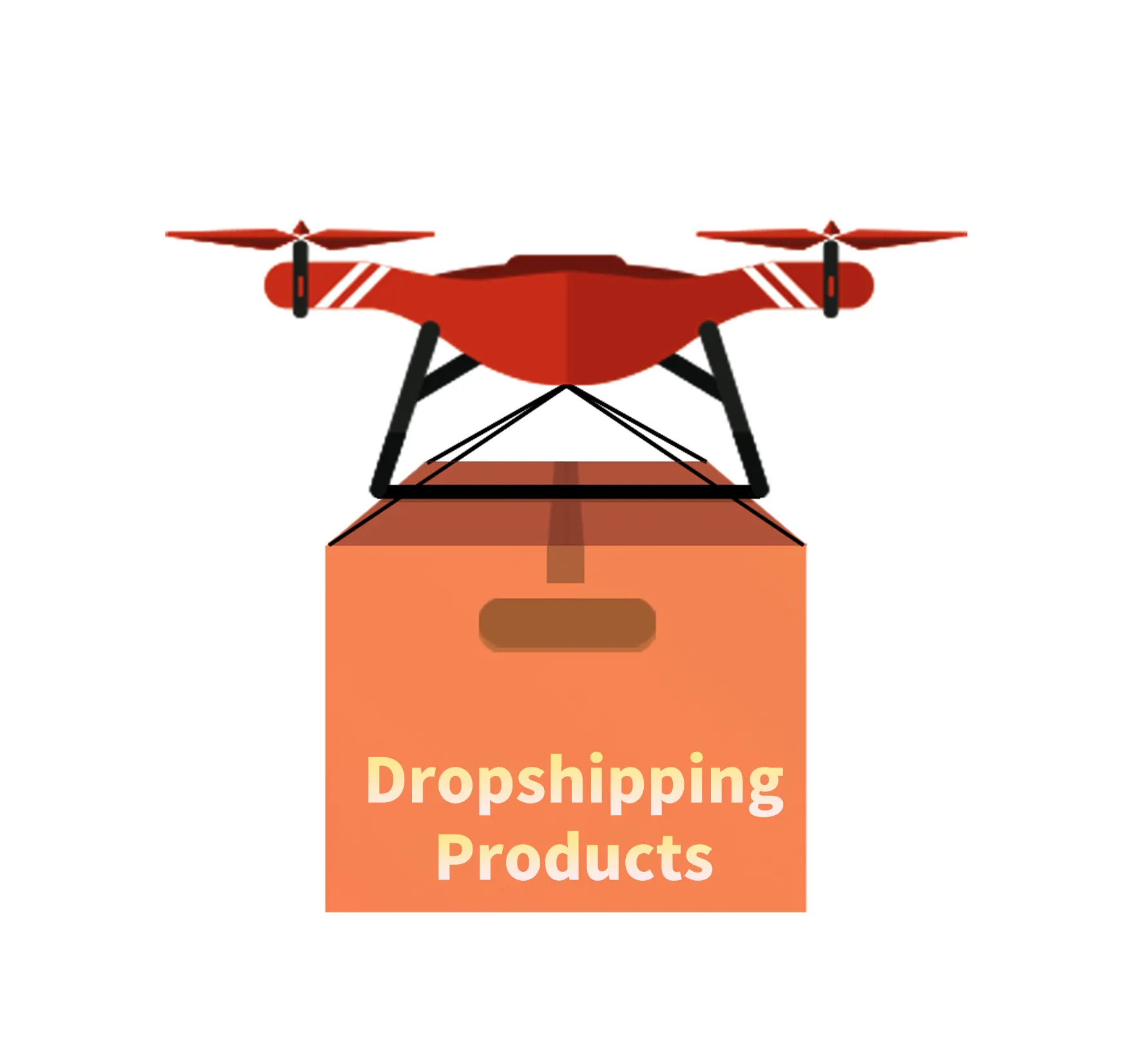 Productos Dropshipping 2024