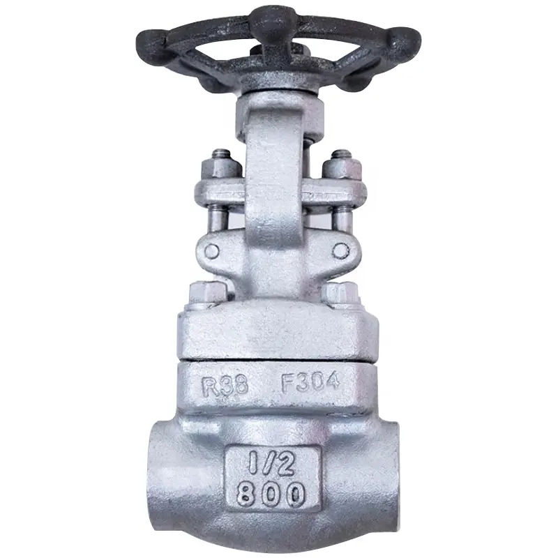 Fabrikanten Forge 2 Inch Gate Valve Prijs Gesmeed Socket Gelaste 1/2 Inch Sw 800 # Trim 12 A182 F316 Api 602 Dn65 Gate Kleppen