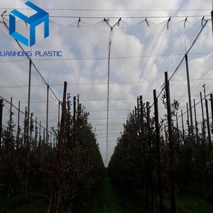 Shandong Lianhong Plastic <strong>Net</strong> Anti Hail Netting Hail Protection Mesh Orchard Apple <strong>Tree</strong> Plant <strong>Cover</strong> for Greenhouse - Product Image 5