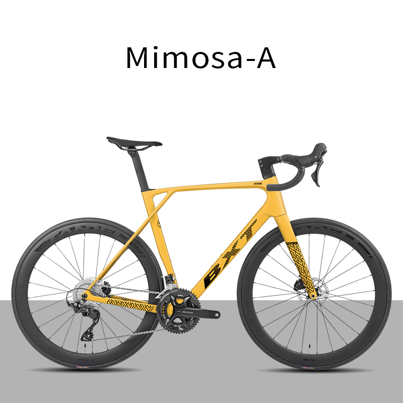 BXT Mimosa Jaune-A