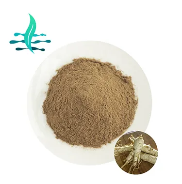 Estratto di radice di Ginseng Panax di alta qualità estratto di Ginseng Panax biologico del nord-est
