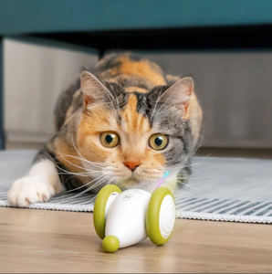 Pet Cat Product Cheerble New Product Wicked <strong>Mouse</strong> PLUS New Smart Cat Toy Automatic and Electric Catch <strong>Running</strong> Playing <strong>Mouse</strong> - Product Image 1