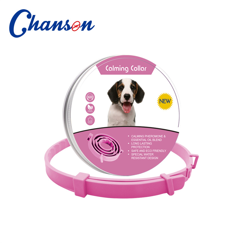 Chien rose