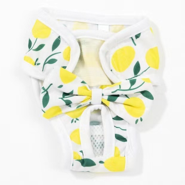 Pantalon menstruel feuille jaune