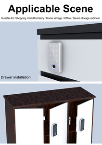 Baoxin Factory Smart keyboard Code Digital Number Cabinet Lock Electronic Front Fingerprint Biometric Passcode Smart Door Lock - Product Image 6