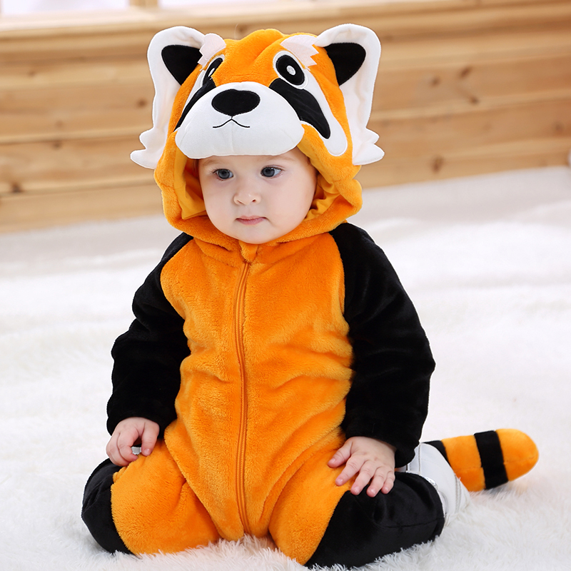 raccoon
