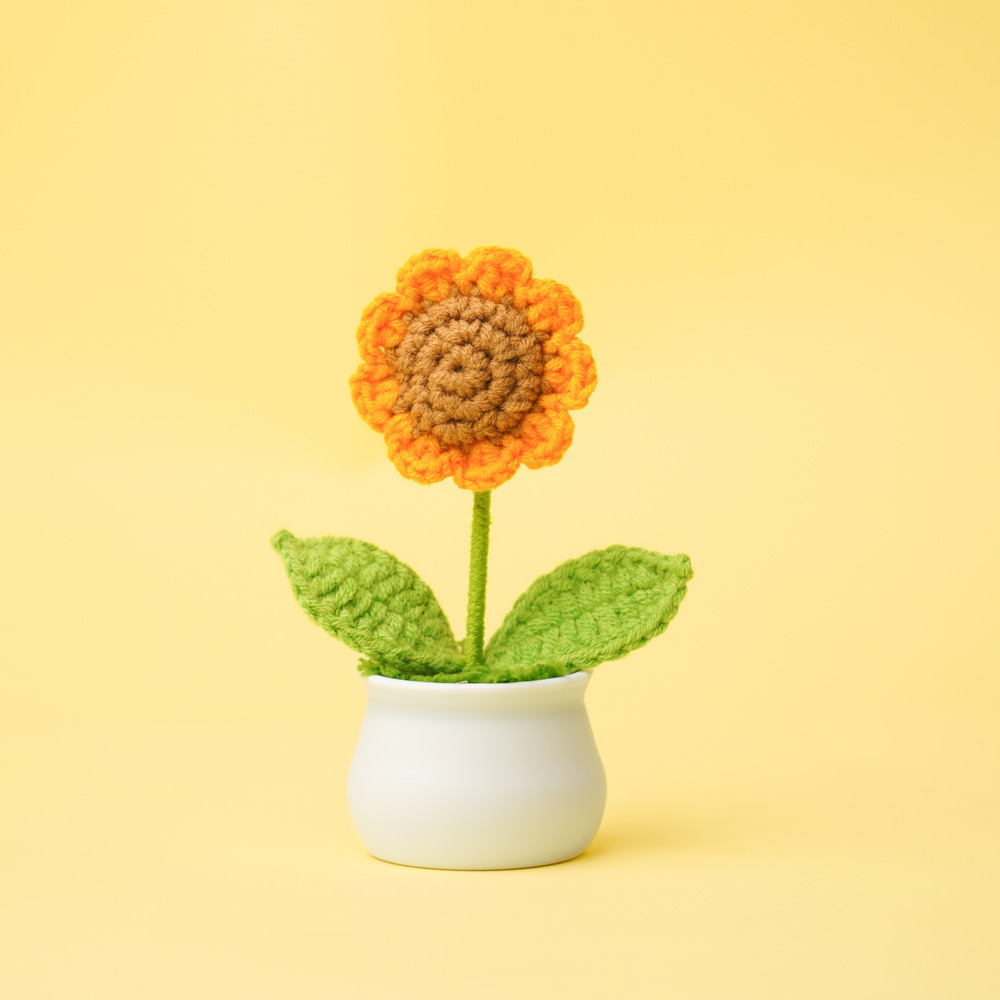Mini bonsaï tournesol