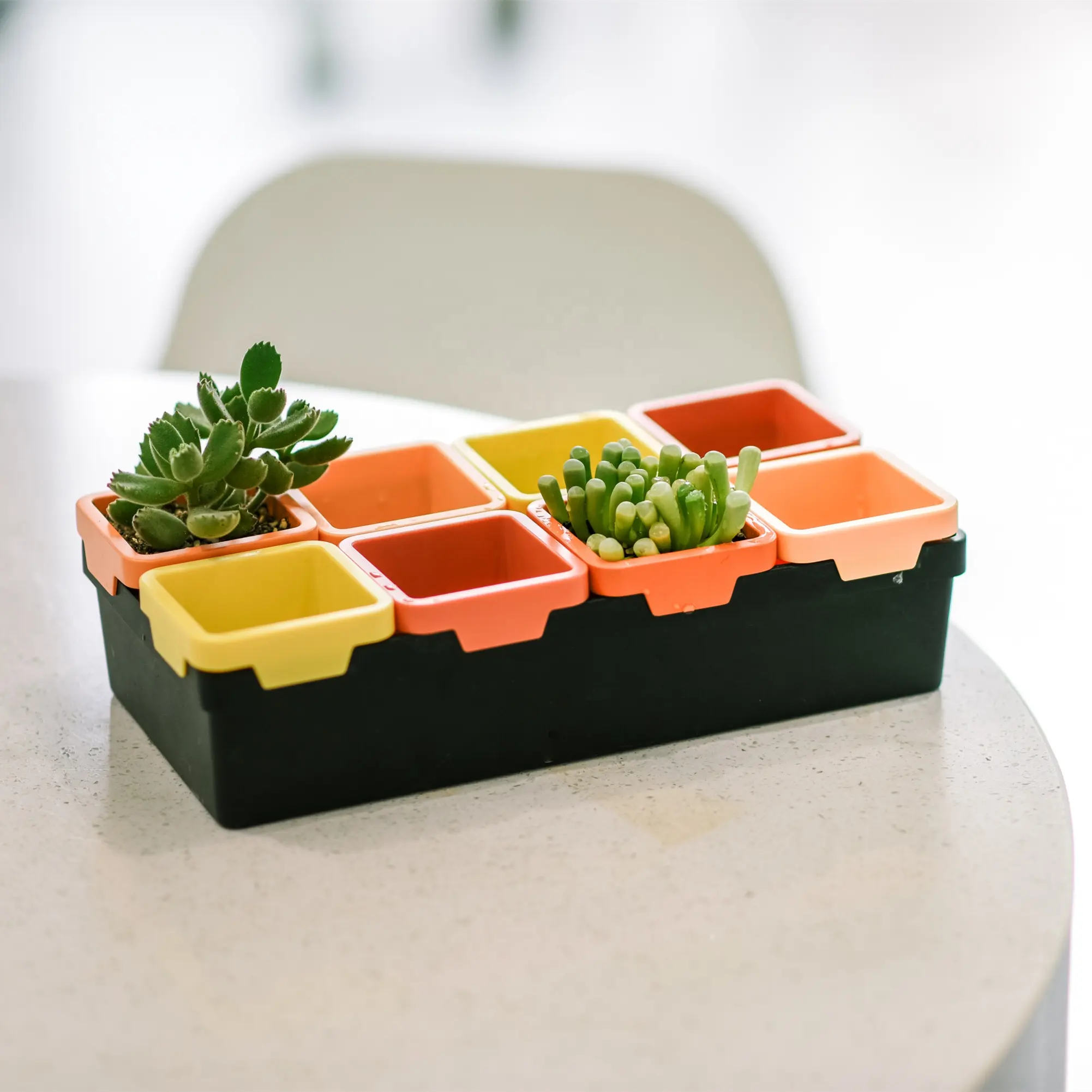 3 inch mini succulent planter desktop square plastic flower pot combination office garden